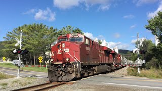 The BIGGEST Train to Ever Run Down the D&H 220+ Car 252 Through Willsboro!