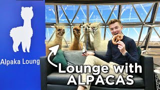 The World's CRAZIEST New Airport Lounge
