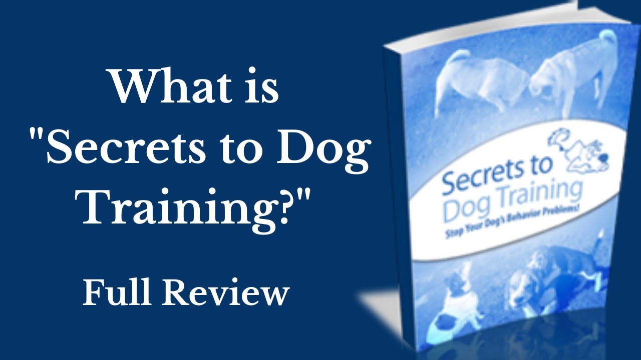 Secrets to Dog Training Review Online Dog Training Course Dog