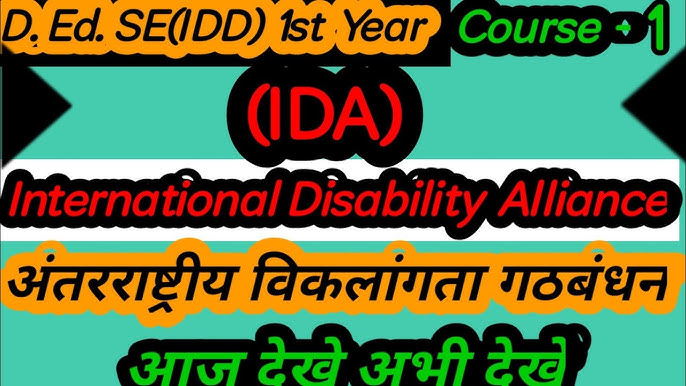 international-disability-alliance-in-year-course-1-42-off