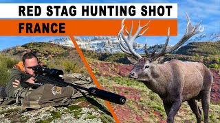 Chasse au cerf / Deer hunting - France 2024