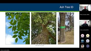 Emerald Ash Borer Informational Meeting Aitkin, Mille Lacs, Pine, and St.  Louis Counties