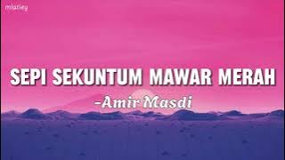 Sepi Sekuntum Mawar Merah - Amir Masdi Lirik Video