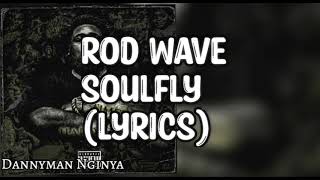Rod Wave - SoulFly(lyrics)
