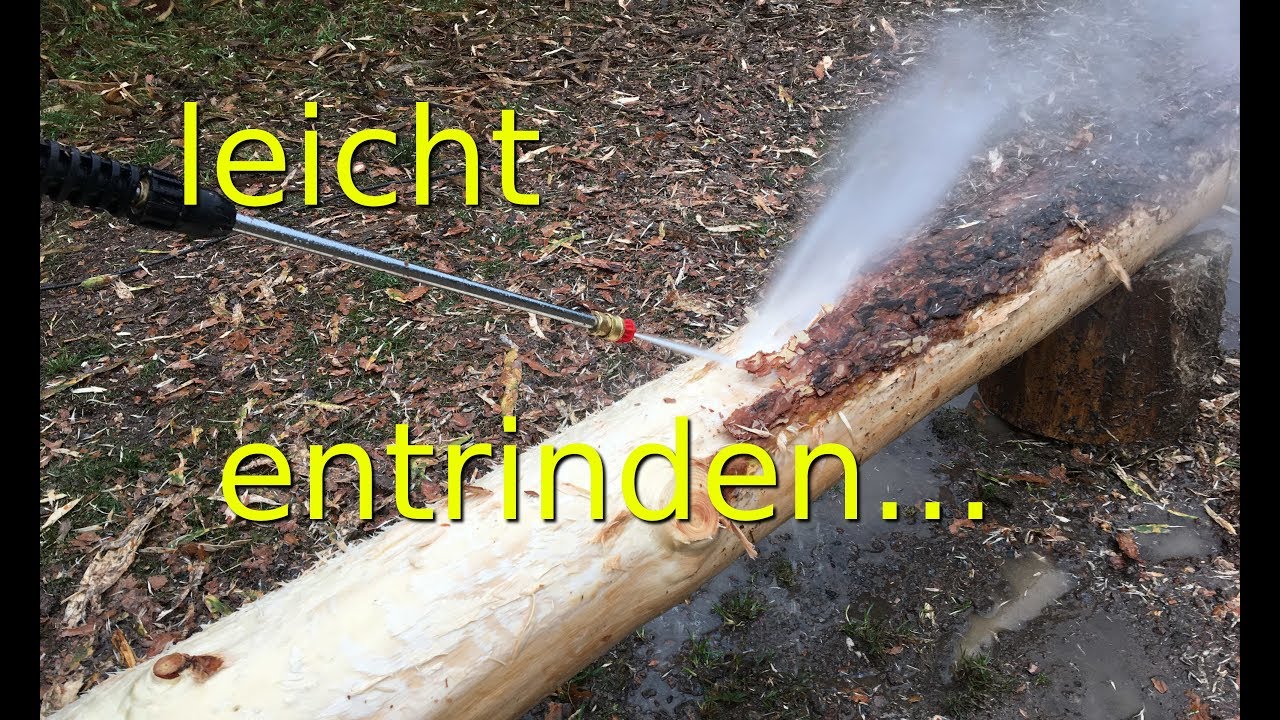 Katastrophe lernen Klopfen baum schälen planen Genesen Snazzy