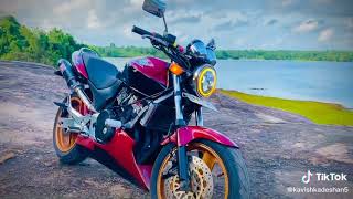 Red Bea Honda Honert 250Cc