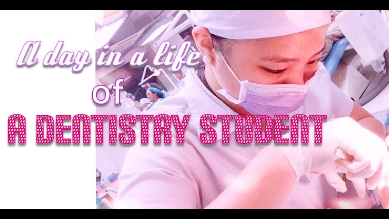 A DAY IN A LIFE OF A DENTISTRY STUDENT 🦷 - YouTube