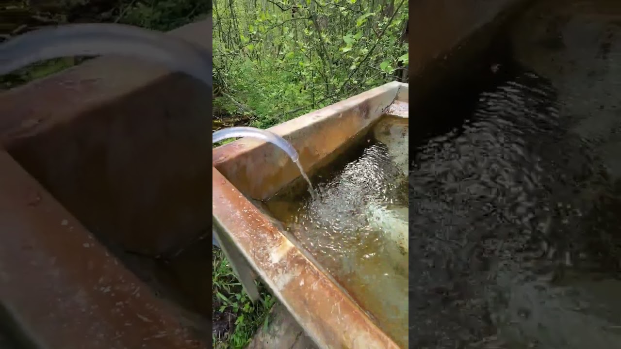 Spring Water - Artesian Well Flowing - Old 