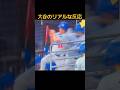 大谷翔平を危機から救った!ベンチを襲った強烈ライナーと衝撃の結末