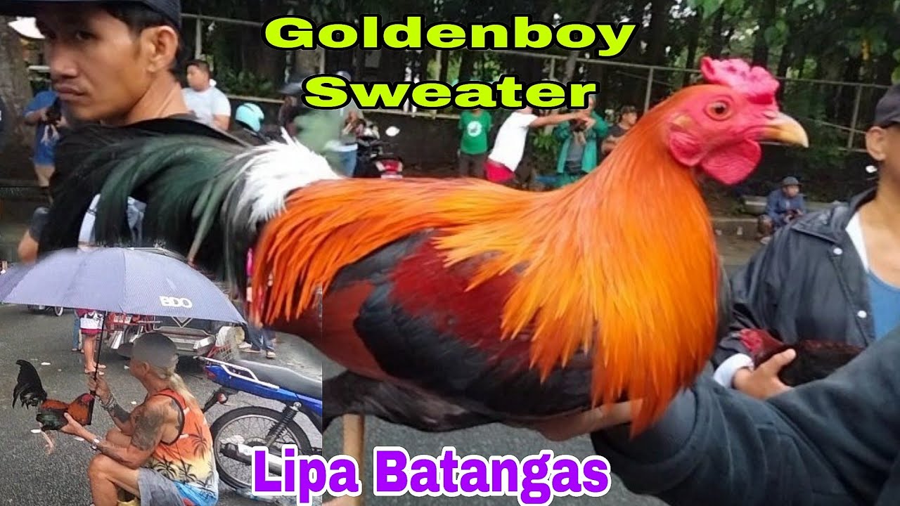 August 23, 2025  Kahit maulan tuloy ang Bentahan sa Lipa Batangas ...