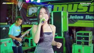 PRI MUSIC - HARTA DAN KESETIAAN - FEBI PESEK - WEDDING ADEN & DAVA - PEKALONGAN BATEALIT JEPARA