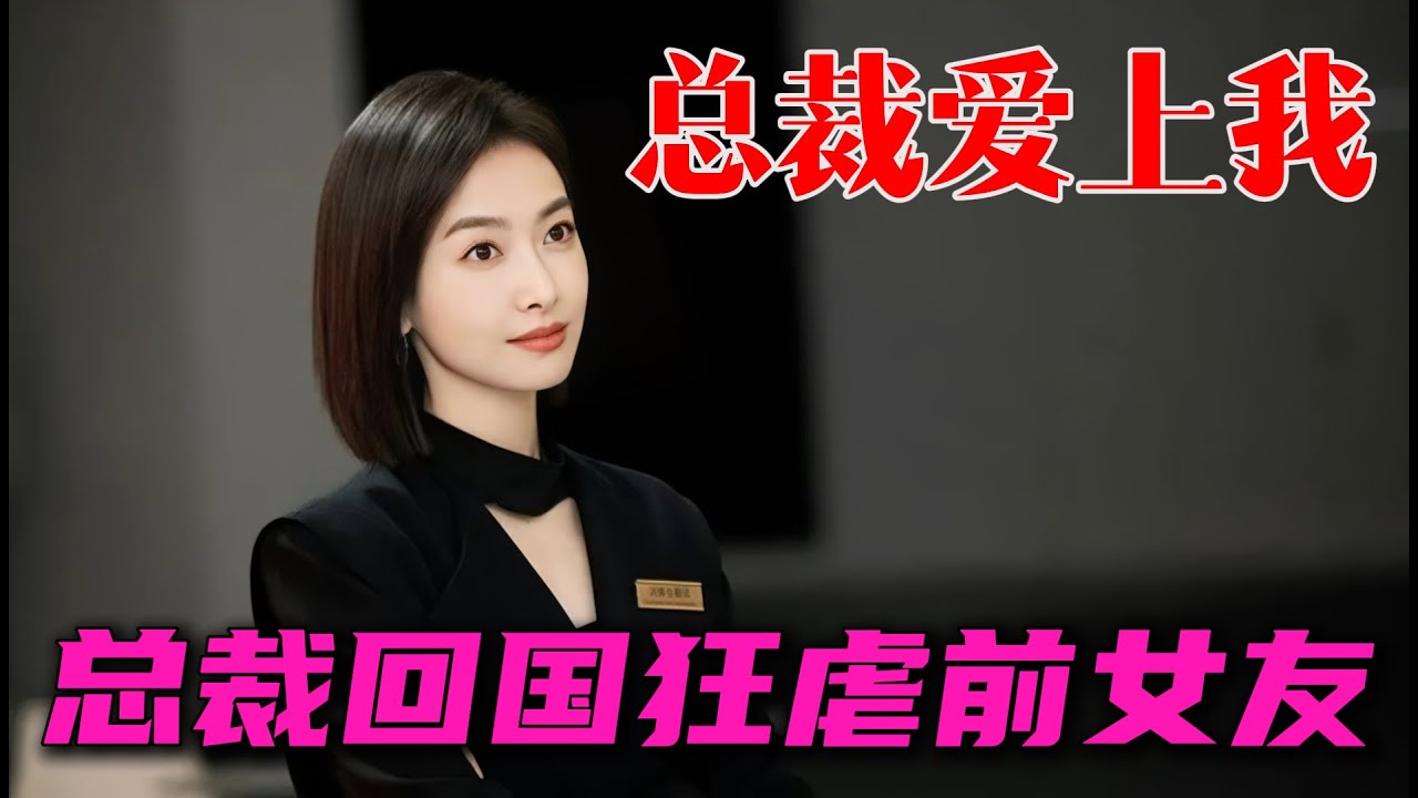 我的老婆是美女翻譯官 一口氣看完《我們的翻譯官》全集