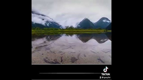 خالد الجليل - سورة الحديد