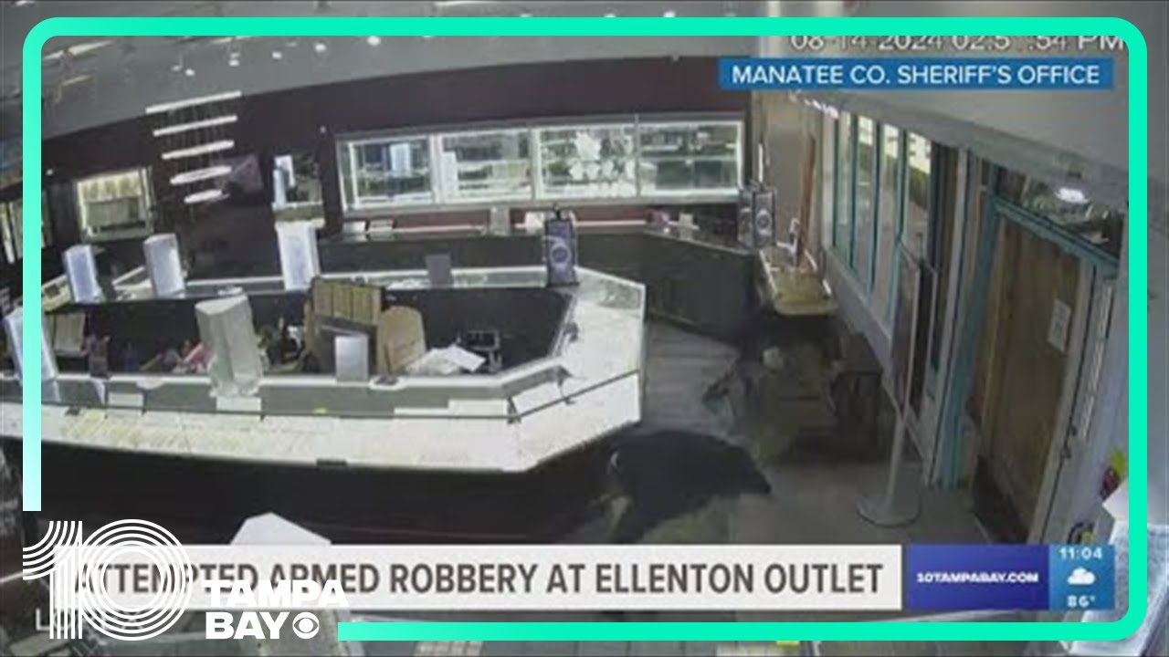 Deputies searching for attempted armed robbery suspects who fired shots ...