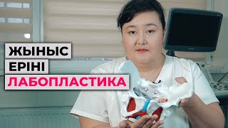 HD 720p форматында транни порно көру