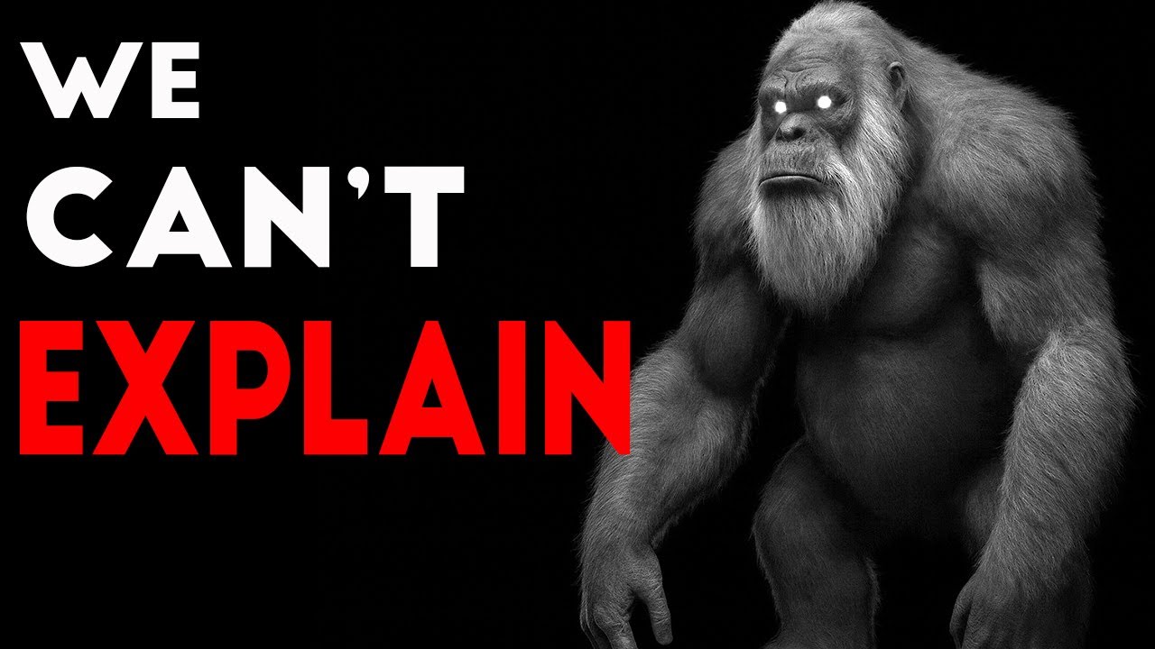 3 Meters and the Strength of 20 Men – The Prehistoric Primate That Would Send Chills Down Your Spine