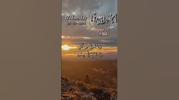 سورة فاطر - والله خلقكم من تراب ثم من نطفة ثم جعلكم أزواجا - تاريخ اليوم