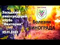 Заседание клуба &quot;Виктория&quot; 25.11.2021. Болезни винограда