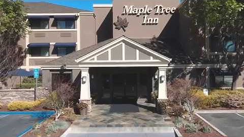 Maple Tree Inn Hospitality