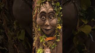 Creepy Tracy Tree Animatronic Rainforest Cafe #shorts  #rainforestcafe #creepy