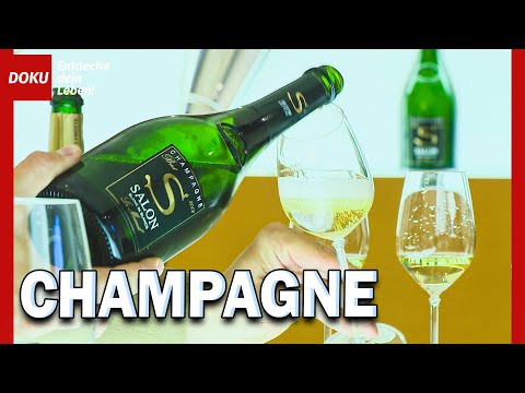 Video: Champagnerkeller und Weinberge in Reims, Epernay und Troyes