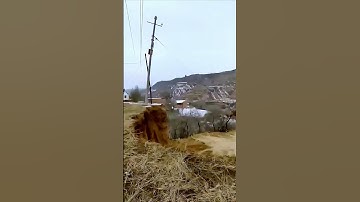 The process of unplugging a pole = good machinery can increase efficiency