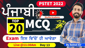 Punjabi Important Questions 13 | PSTET 2022 | Skylite Academy