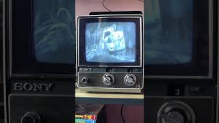 Watching Shrek on my 1977 Sony CRT TV!