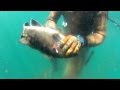 UKRAINIAN SPEARFISHING TEAM VIGO 2012 Галактионов Рябчик