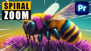 How to Add a Cinematic SPIRAL ZOOM in Premiere Pro