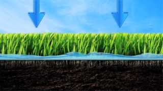 Be Water Smart - Lawn Watering Tips