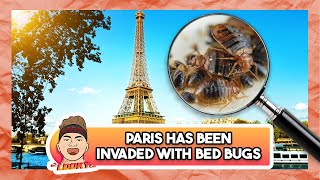 Bed bugs are invading Paris