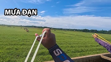 Ná cao su - Ra đồng ruộng kiếm mồi nhậu lai rai || Rubber slingshot to shoot flying birds