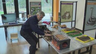 Eastway regional recreation center Sensory Safari exhibit