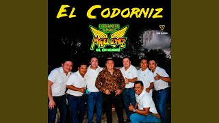 Niña - Miguel Gomez