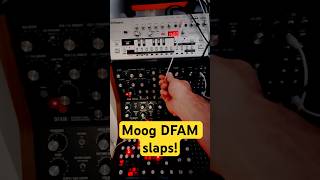 Velocity difference per step = heavy groove #dfam #moog #musicproduction #techno #analogsynth