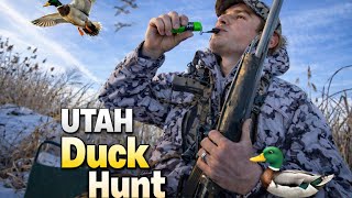 Utah duck Hunting