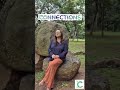 Connections - Talk with Minolta Promo