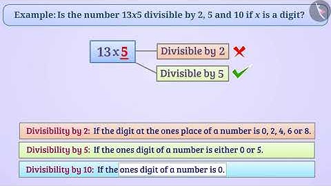 Divisibility Tests of 10, 5 and 2 | Part 2/3 | English | Class 8