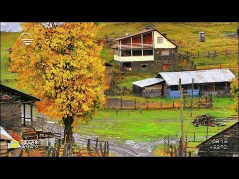 შემოდგომის საქართველო - ულამაზესი ფოტოკოლაჟი, რომელიც ნახატებს მოგაგონებთ