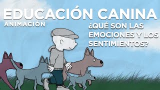 ¿QUÉ SON LAS EMOCIONES Y LOS SENTIMIENTOS? ¿PUEDEN SENTIR NUESTROS PERROS?