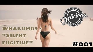 Wharumos - Silent fugitive // Video: Veracr3w // Best of Latin Jazz