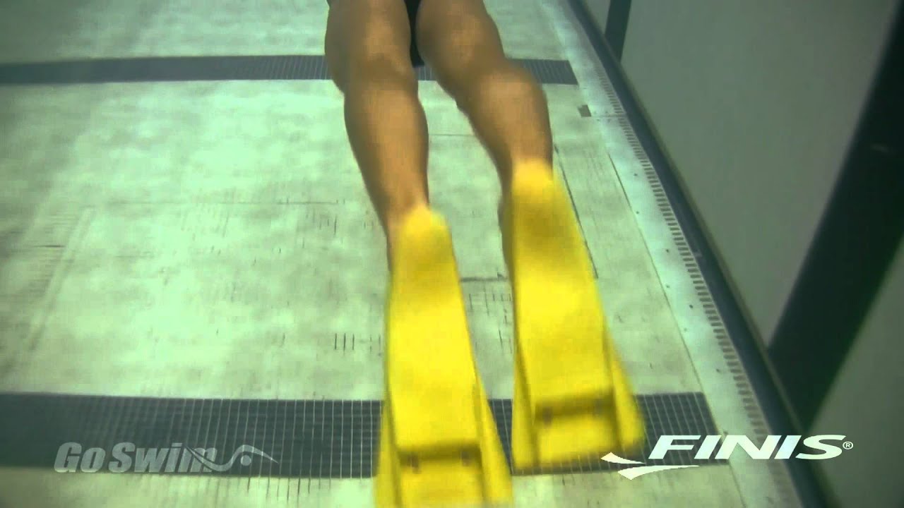 Palmes natation Z2 Zoomers Gold Finis jaune et noir