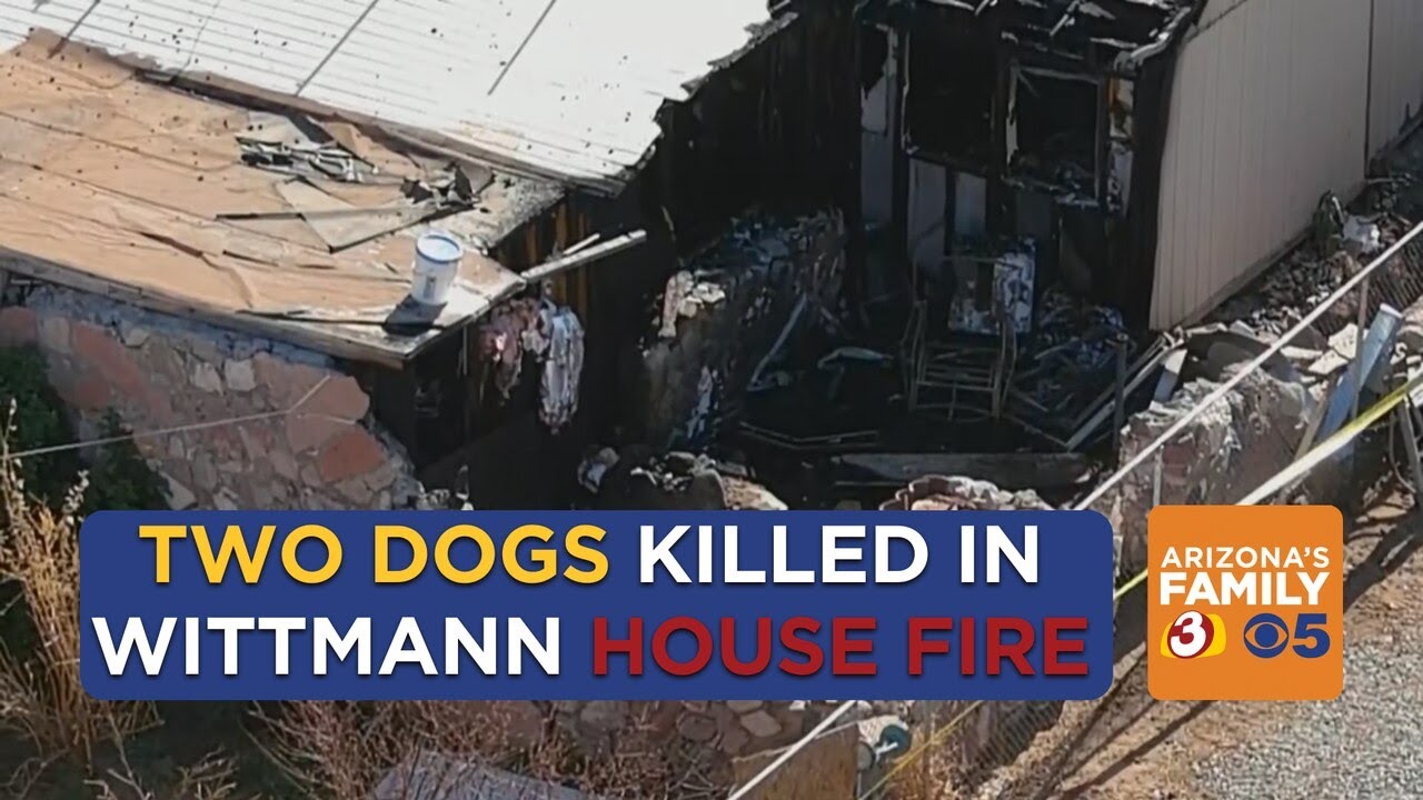 Two dogs killed in house Wittman house fire - YouTube