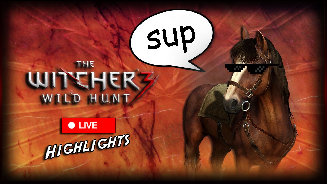 Whitney balance Lavet til at huske ROACH TALKS! And he's hilarious! | Witcher 3 Livestream Highlights - YouTube