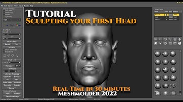 Tutorial Sculpting your First Head with Meshmolder 2022