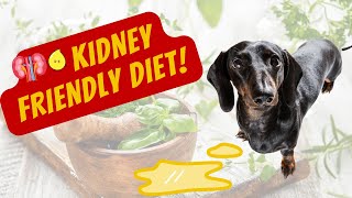Best Dog Diet for Kidney Disease
