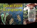 Creating a rural pond ecosphere in the winter  can you  build an ecosphere during the winter