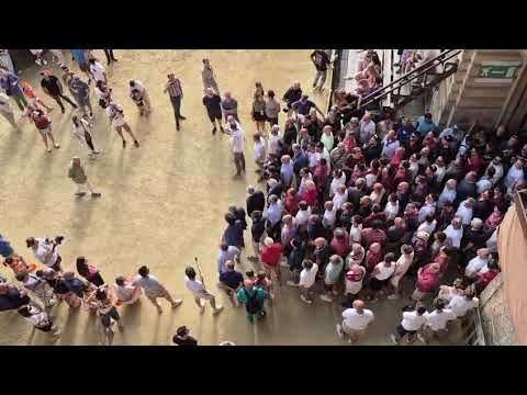 Video Palio di Siena. Ingresso in piazza del Campo della Contrada della Torre
