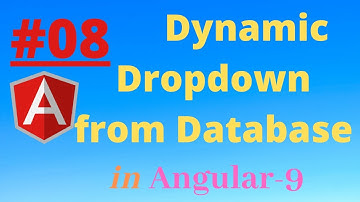 How to create Dynamic dropdown From Database in Angular 9 and web api 3.0 |Save Category | Part-8